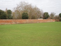 wall